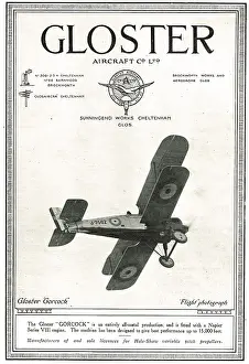 Gorcock: Gloster Gorcock