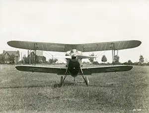 Radiator: Gloster Gorcock fitted with a D-shaped radiator