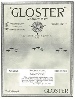 Seaters: Gloster Grebe, Gamecock & Gorcock Single Seaters