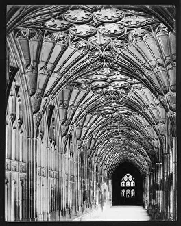 Cloisters: GLOUCESTER CATHEDRAL