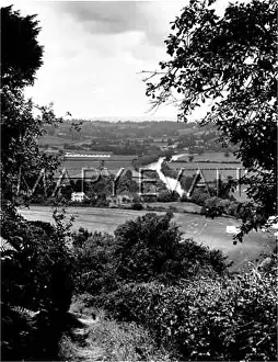 Hedgerows: GLOUCESTERSHIRE SCENERY