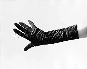 Gloved: A GLOVED HAND