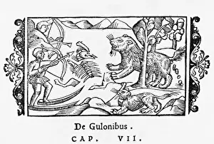 Gluttonous: Gluttonous Gulon