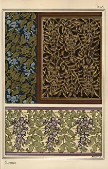 Grasset: Glycine in art nouveau patterns