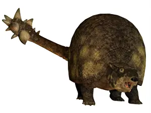 Miocene: Glyptodont is a large mammal that lived during the ?