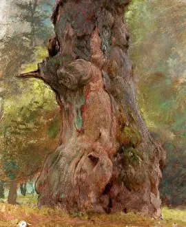 Elgar: A Gnarled Tree Trunk