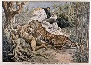 Barthelemy: GNAWED BY TIGER, VIETNAM