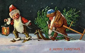 Gnome: Gnomes bring home Christmas tree