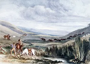 1836 1839: Gnu Shooting on the Bontebok Flats, 1836-1839