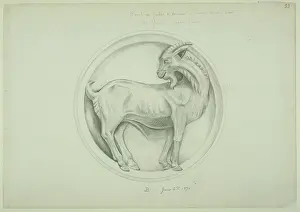Capra: Goat design