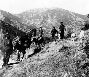 Donkeys: Goatherds in Serbia, 1915