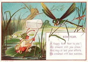 Dragonflies: Goblin and dragonfly on a New Year card