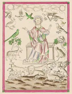 Unicorns: GOD CREATES ANIMALS