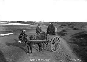 Desolate: Going to Market