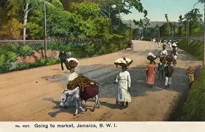 Panniers: Going to market - Jamaica