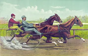 Trotter: Going for the money