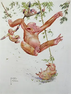 Orang: GOING WITH A SWING
