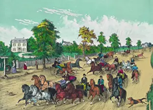 Trot: Going to the trot