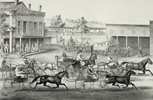 Trot: Going to the trot: a good day and good track