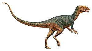 Dilophosaurus: Gojirasaurus dinosaur