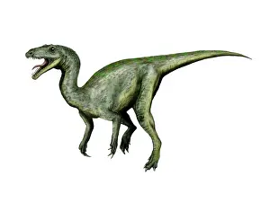 Dilophosaurus: Gojirasaurus dinosaur