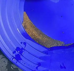 Panning: Gold with black sands in a gold pan