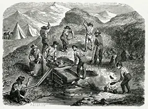 Placer: GOLD IN CALIFORNIA