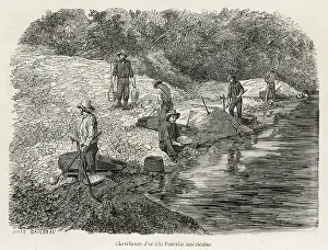 Panning: Gold in California