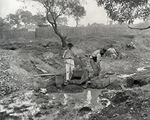 Vicinity: Gold Digging in Australia