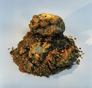 Nugget: Gold nugget, 1988