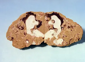 Nugget: Gold nugget, 1988