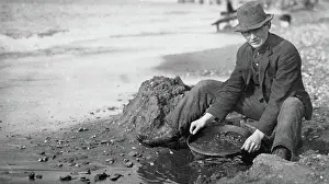 Panning: Gold - Panning - Alaska