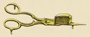 Snuff: Gold-Plated Shears