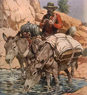 Prospector: GOLD PROSPECTOR