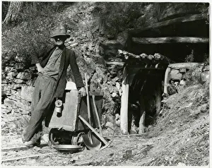 Prospector: GOLD PROSPECTOR