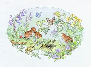 Cloke: Goldcrest, dormice, frog, etc