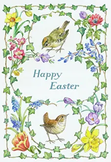 Crocuses: Goldcrest and wren with ivy and spring flowers