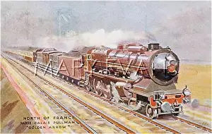 Fleche: THE GOLDEN ARROW