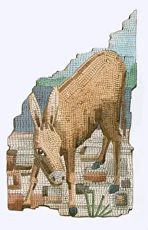 Psyche: The Golden Ass