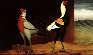 Hens: Golden Duckwings