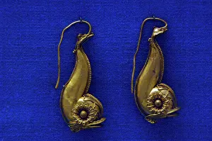Enamelled: Golden earrings with shaped like a dolphin