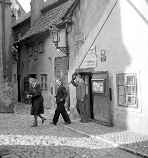 Zlata: Golden Lane