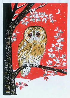 Golden Owl on a Branch