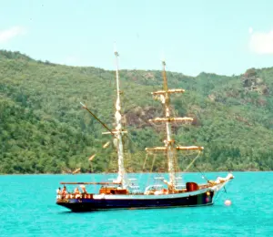 Rigger: The Golden Plover sailing ship - Square Rigger