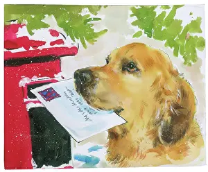 Posting: Golden Retriever posting a letter