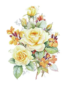 Wallflowers: Golden Roses and Wallflowers