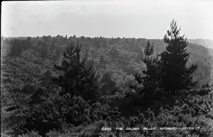 Hindhead: The Golden Valley, Hindhead