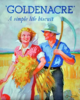 Biscuits: Goldenacre biscuits