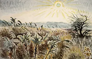 Ephraim: Goldenrod in December