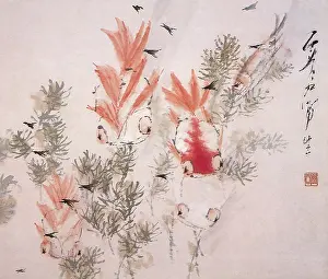 Weeds: Goldfish